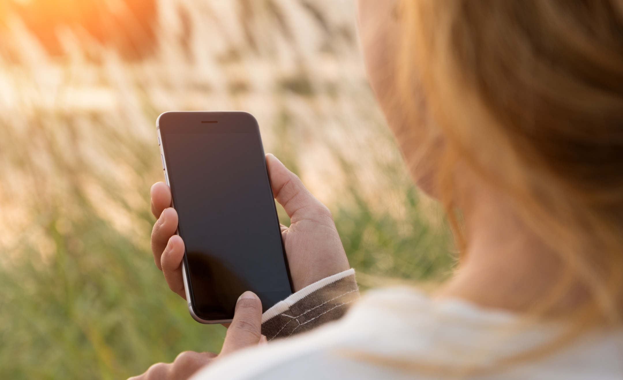 Weibliche Hand hält ein Mobiltelefon in der Hand. Hintergrund: verschwommenes Getreidefeld.