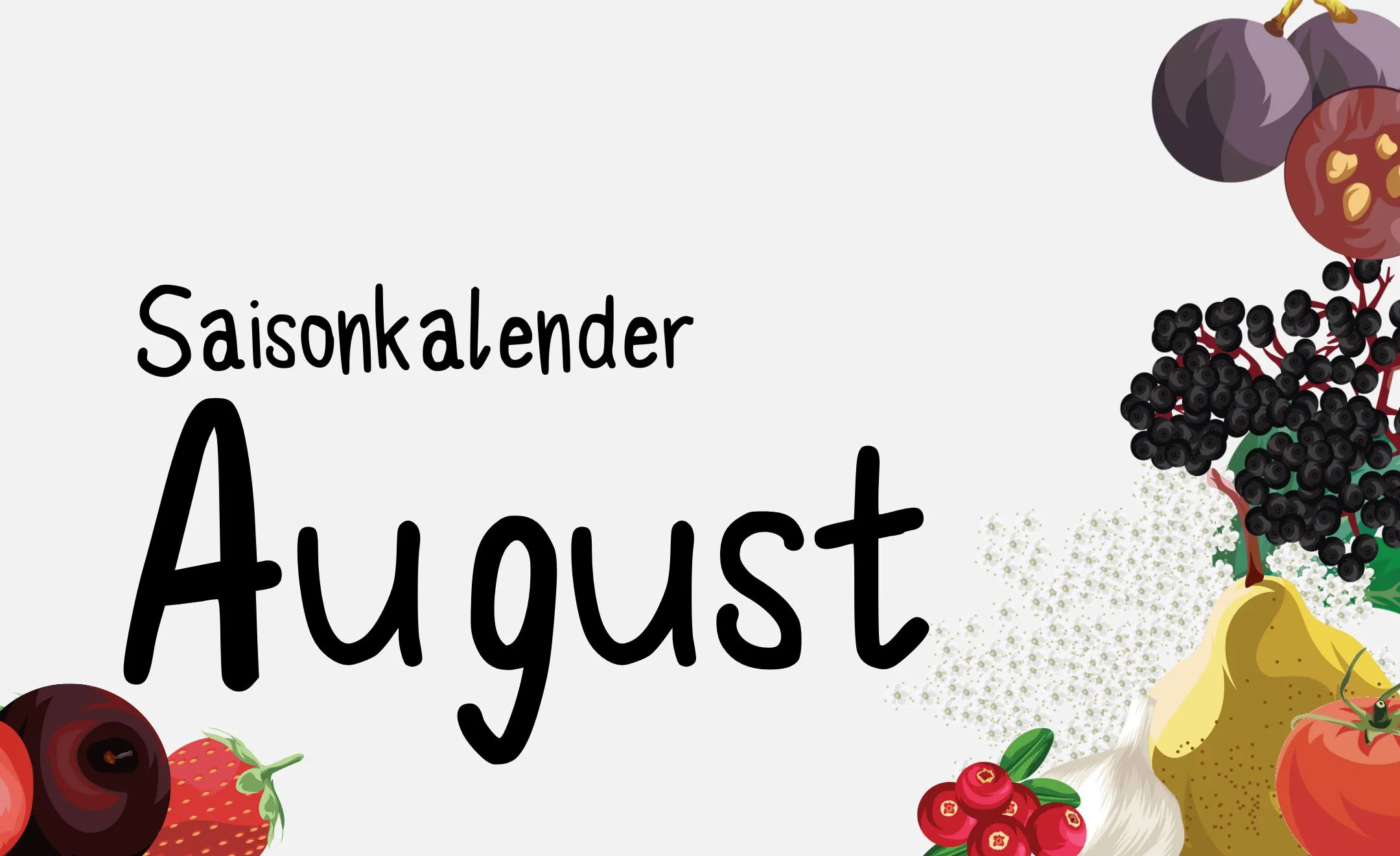 Text: „Saisonkalender August“ Hintergrund: Grafiken von saisonalen Obst und Gemüse